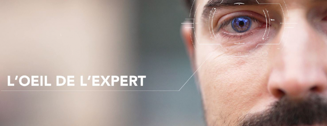 Capture oeil expert.JPG