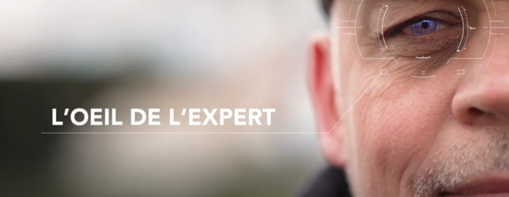 L'oeil de l'expert