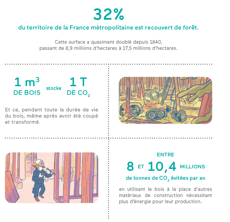 Chiffres secteur bois
