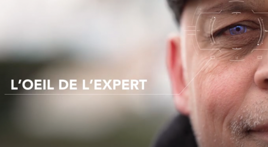 L'oeil de l'expert