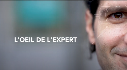 Visuel dans l'oeil de l'expert