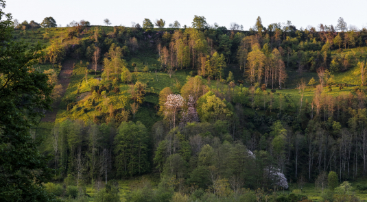 Les projets d'ingénierie concernent aussi la biodiversité