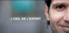 Visuel dans l'oeil de l'expert