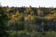 Les projets d'ingénierie concernent aussi la biodiversité